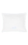 Scallop Baby Pillowcase - Trains